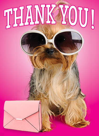 thank-you-dog-glasses-jack-russell-rescue