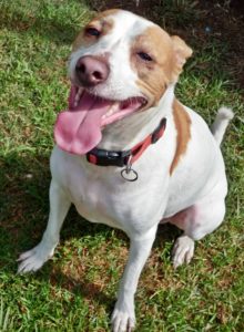 Flashie has found his smile