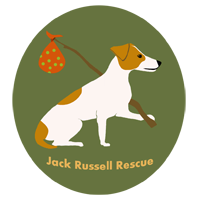 Jack Russell Rescue