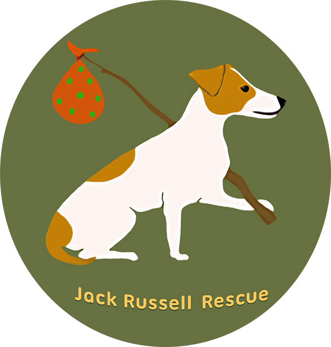 Jack Russell Rescue